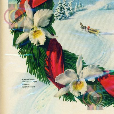 80 Christmases of Nothing Better in the Market